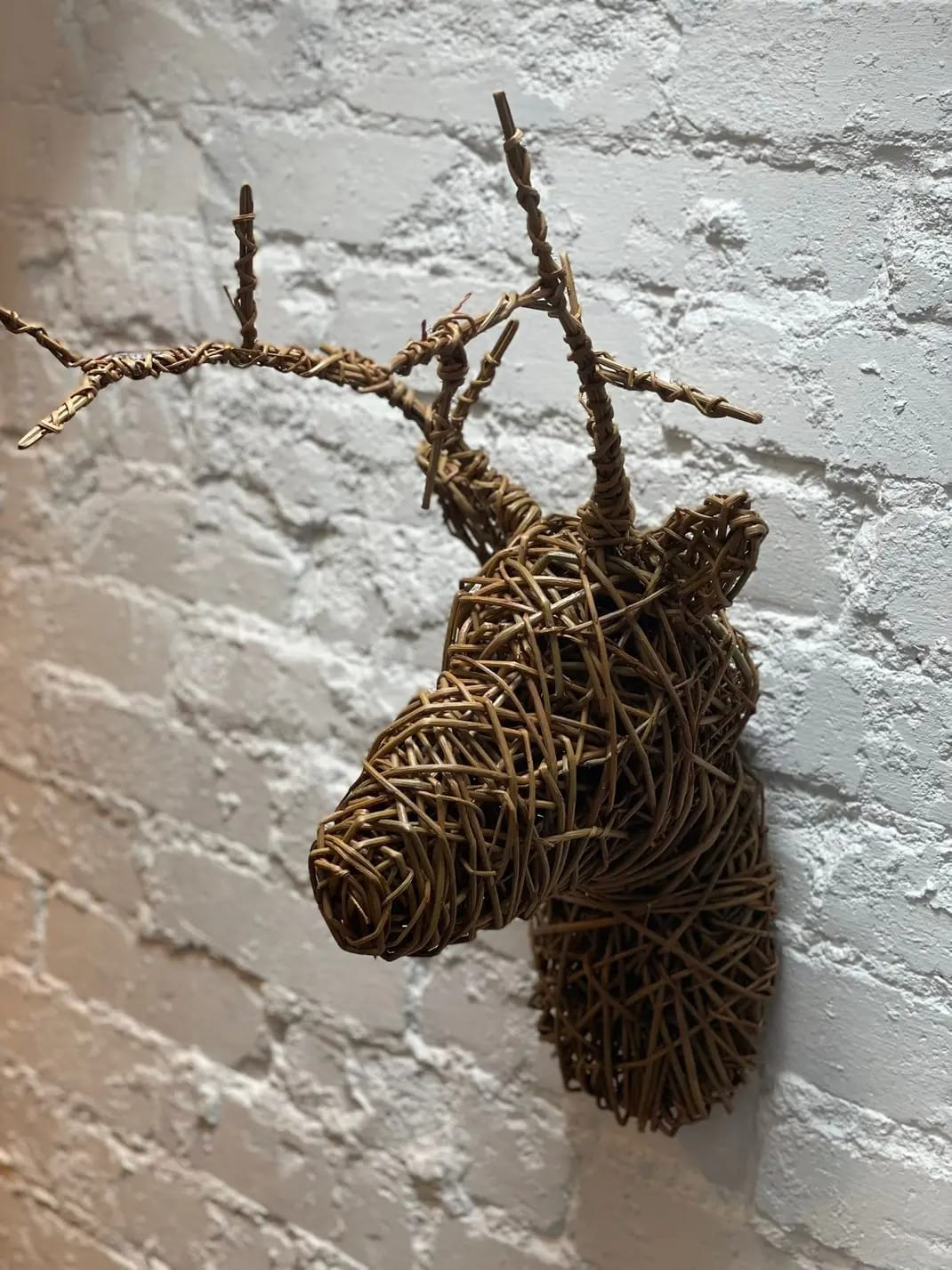 Willow Deer Head Workshop