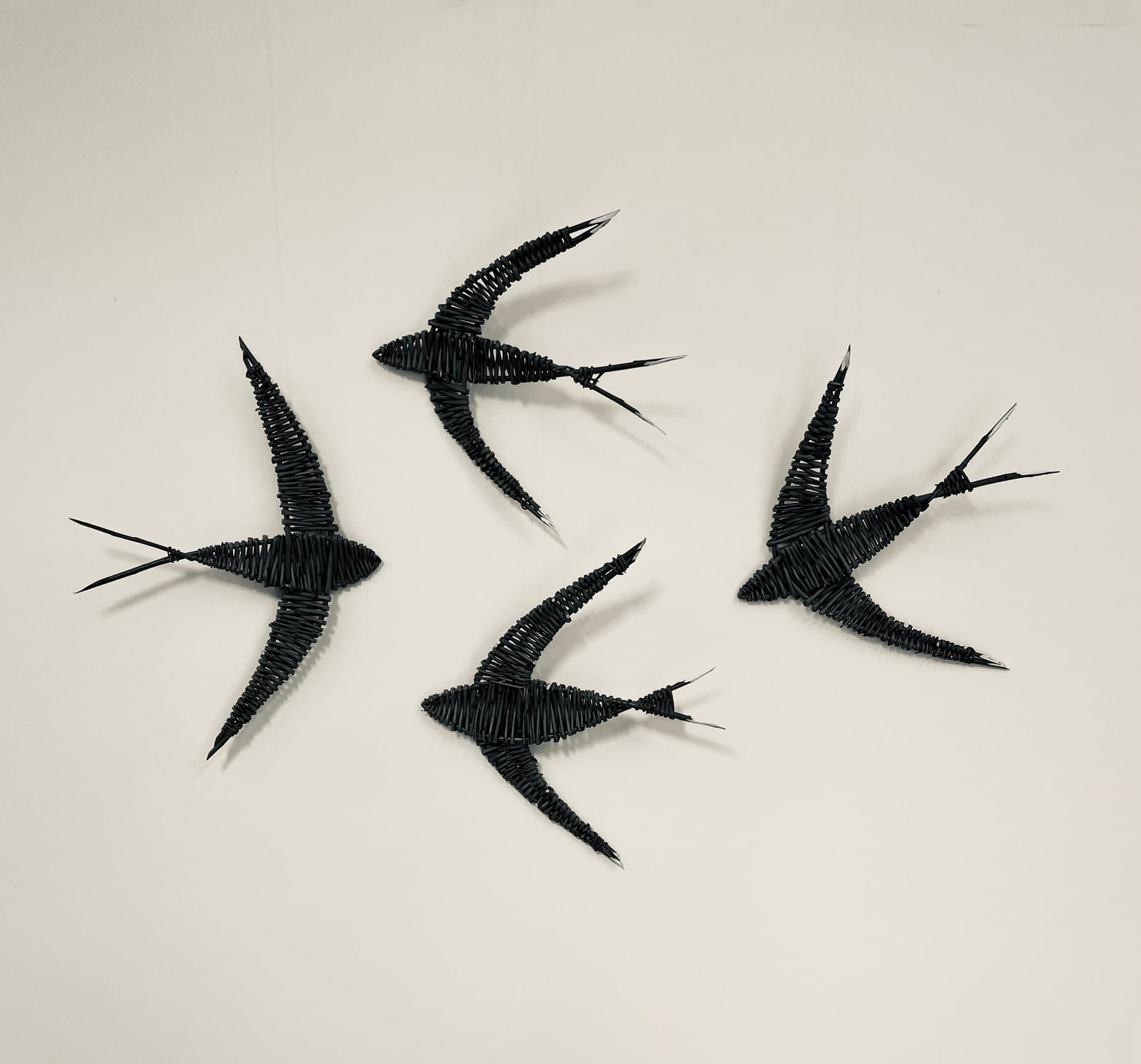Willow Swifts Workshop